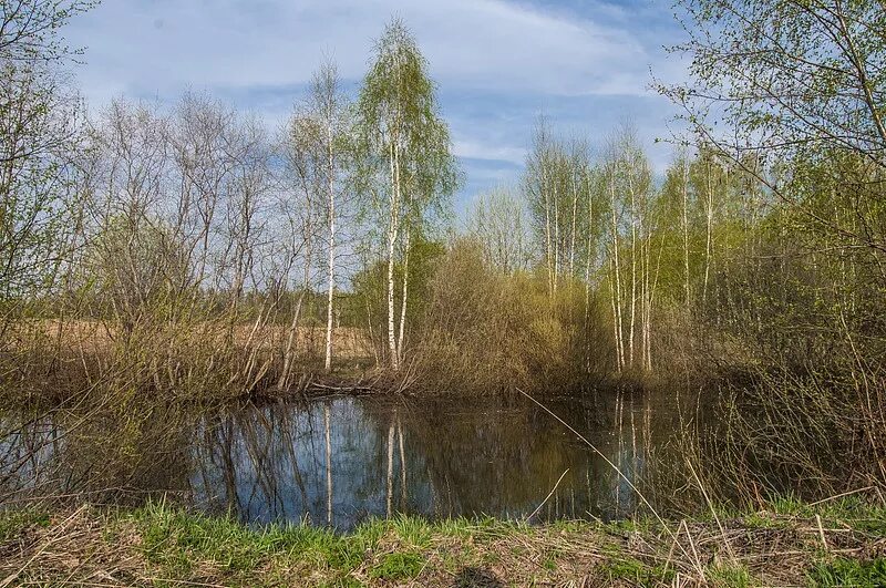 Мокроусово курганская область. Костромская область село сунгурово. Село сунгурово курганская область. Погода сунгурово. Сунгурово деревня.