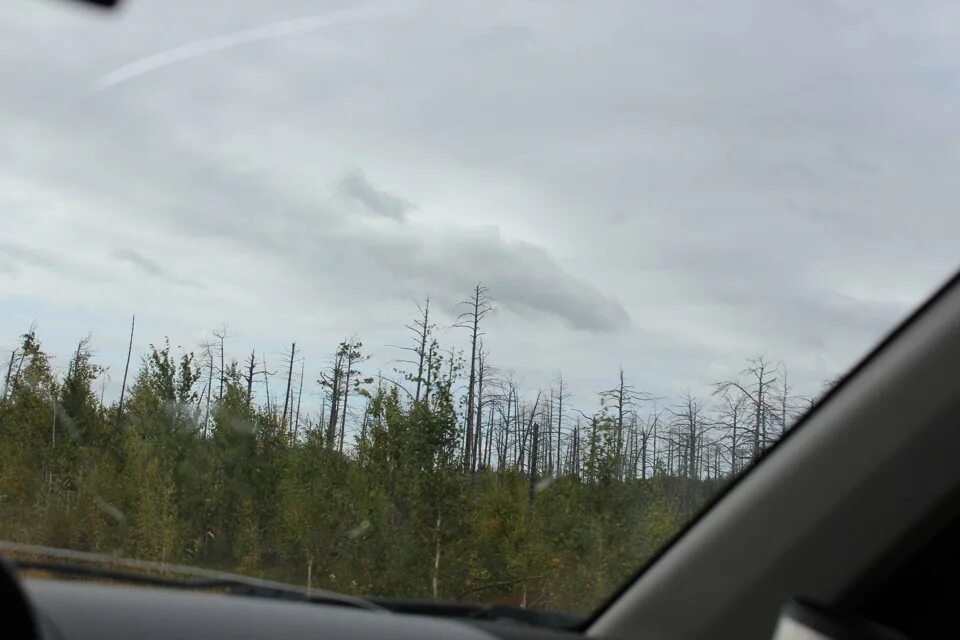 Новосибирск нягань. Новосибирск нягань. Карта сургут нижневартовск. Нягань екатеринбург на карте. Новосибирск нягань.