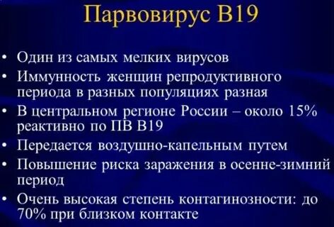 Инфекция б 19