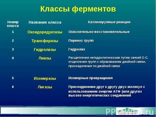 1 класс ферментов. Классы ферментов. Таблица классов ферментов. 6 Классов ферментов. Ферменты класса гидролаз.