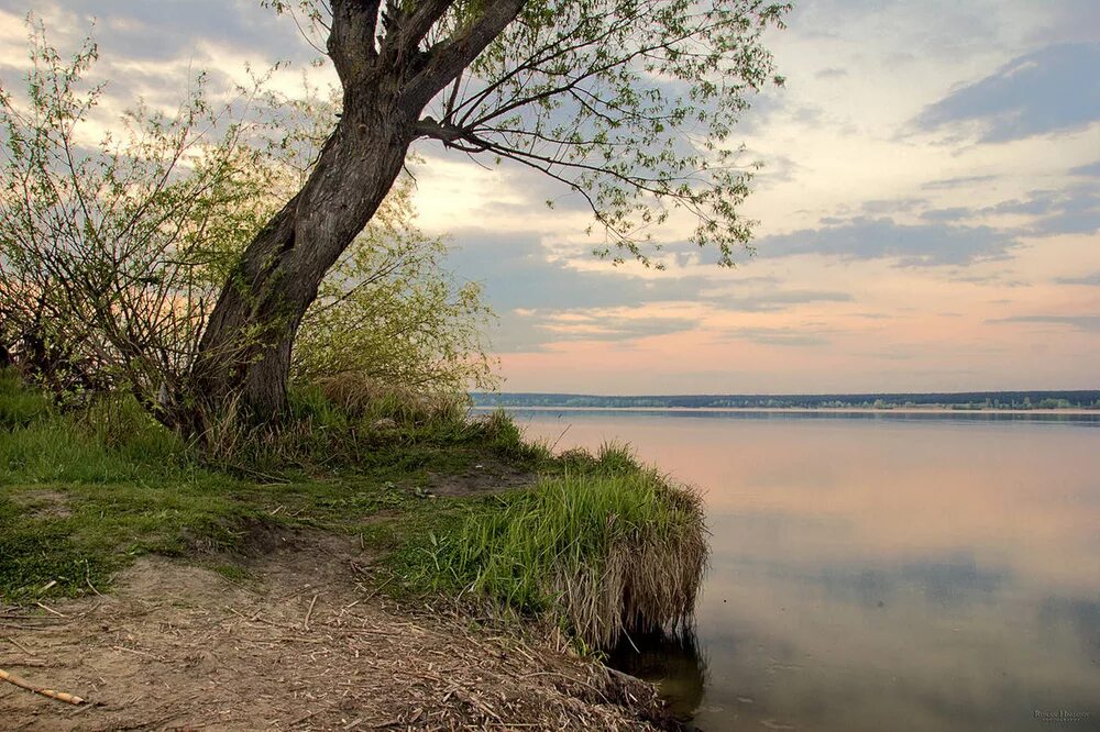 Водохранилище старый Оскол. Оскольское водохранилище старый Оскол. Краснооскольское водохранилище. Река Оскол водохранилище. Оскол без воды