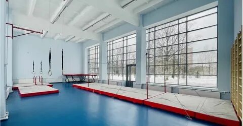 Европейский гимнастический динамо