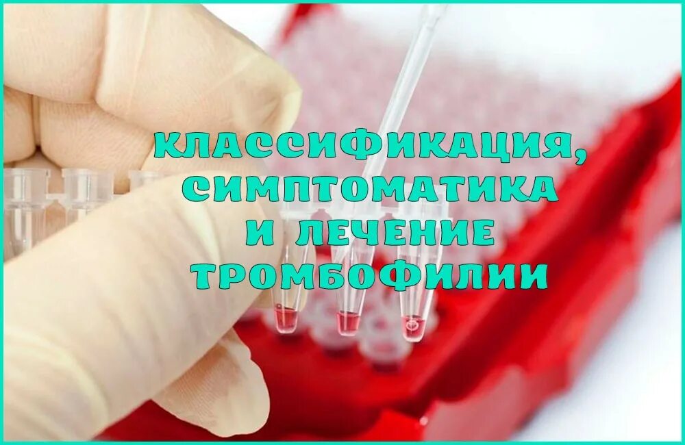 Тромбофилия густая кровь. Тромбофилия врач. Тромбофилия мкб 10. Фото тромбофилии симптомы. Склонность к тромбозам