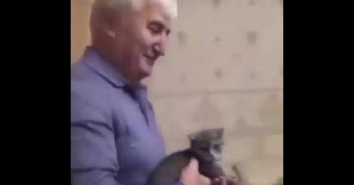 Котик киселечек. Два мальчика катаются киселечек. Кот киселечек видео. Котенок киселечек. Кот киселечек мем.