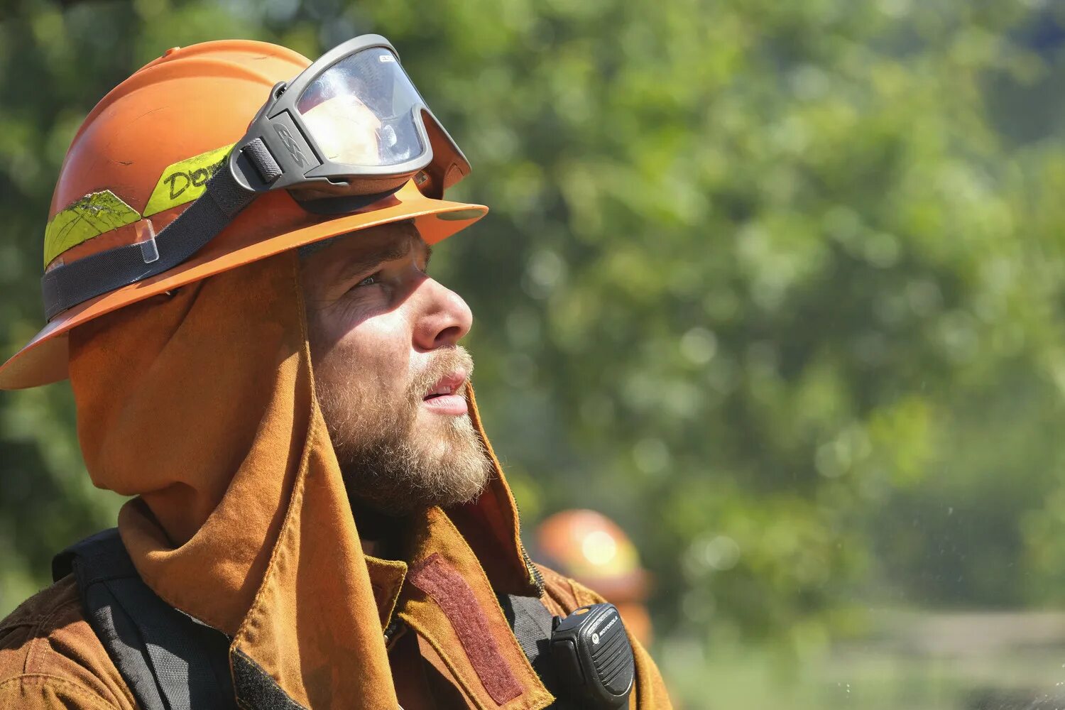 Страна пожаров дата выхода. Страна пожаров дата выхода. Страна пожаров 11 серия. Страна пожаров дата выхода. Страна пожаров дата выхода.