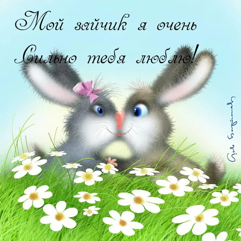 Доброе утро зайчонок. Доброе утро зайчик. Доброе утро заяц. Доброе утро заяц. Доброе утро заяц.
