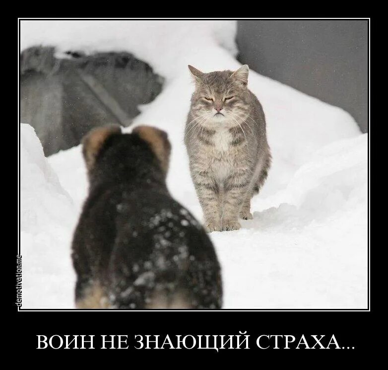 только знающие остались. статусы о людях и поступках. идем дальше цитаты. все пройдет и будет хорошо. в конце останется только один.