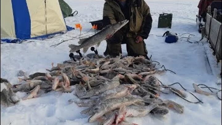 Рыбалка в Якутии 2020 новое. Первый лед 2020 зимняя рыбалка в Якутии. Зимняя рыбалка в Якутии 2019. Зимняя рыбалка в Якутии 2020.