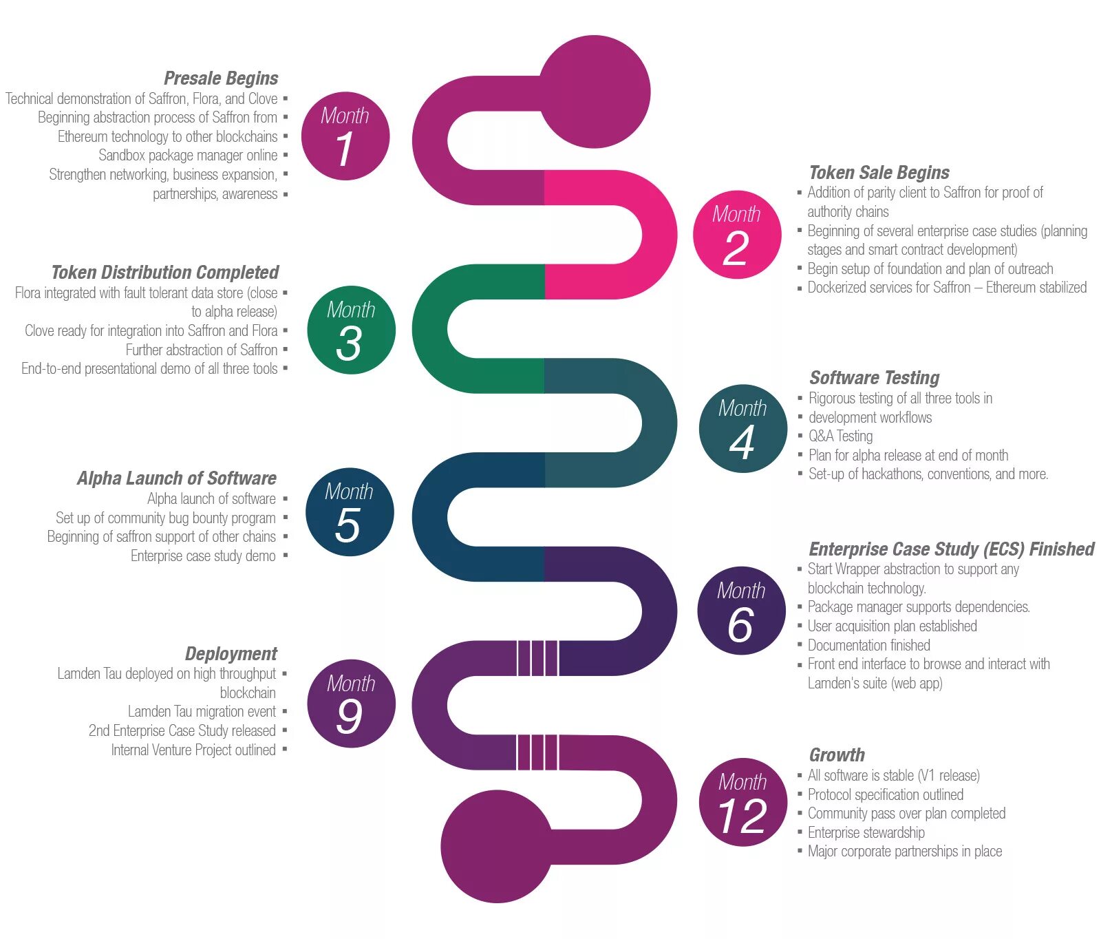 Support plan. Corporate Roadmap.