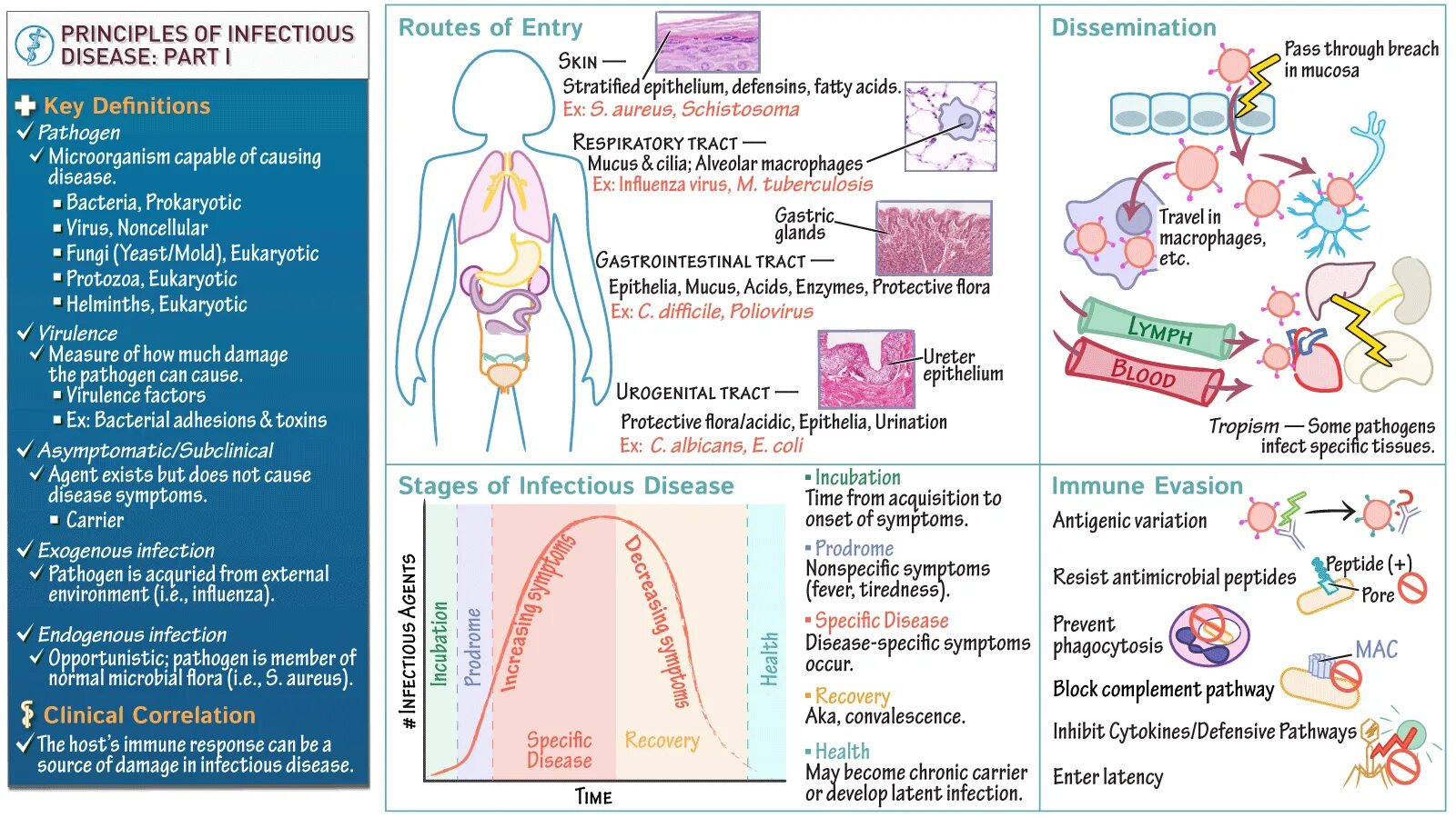 Infectious diseases. Doctrine of Infectious diseases. The Origin of Infectious disease.