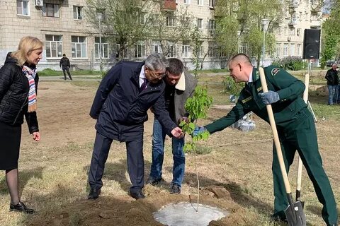 Сад финансистов