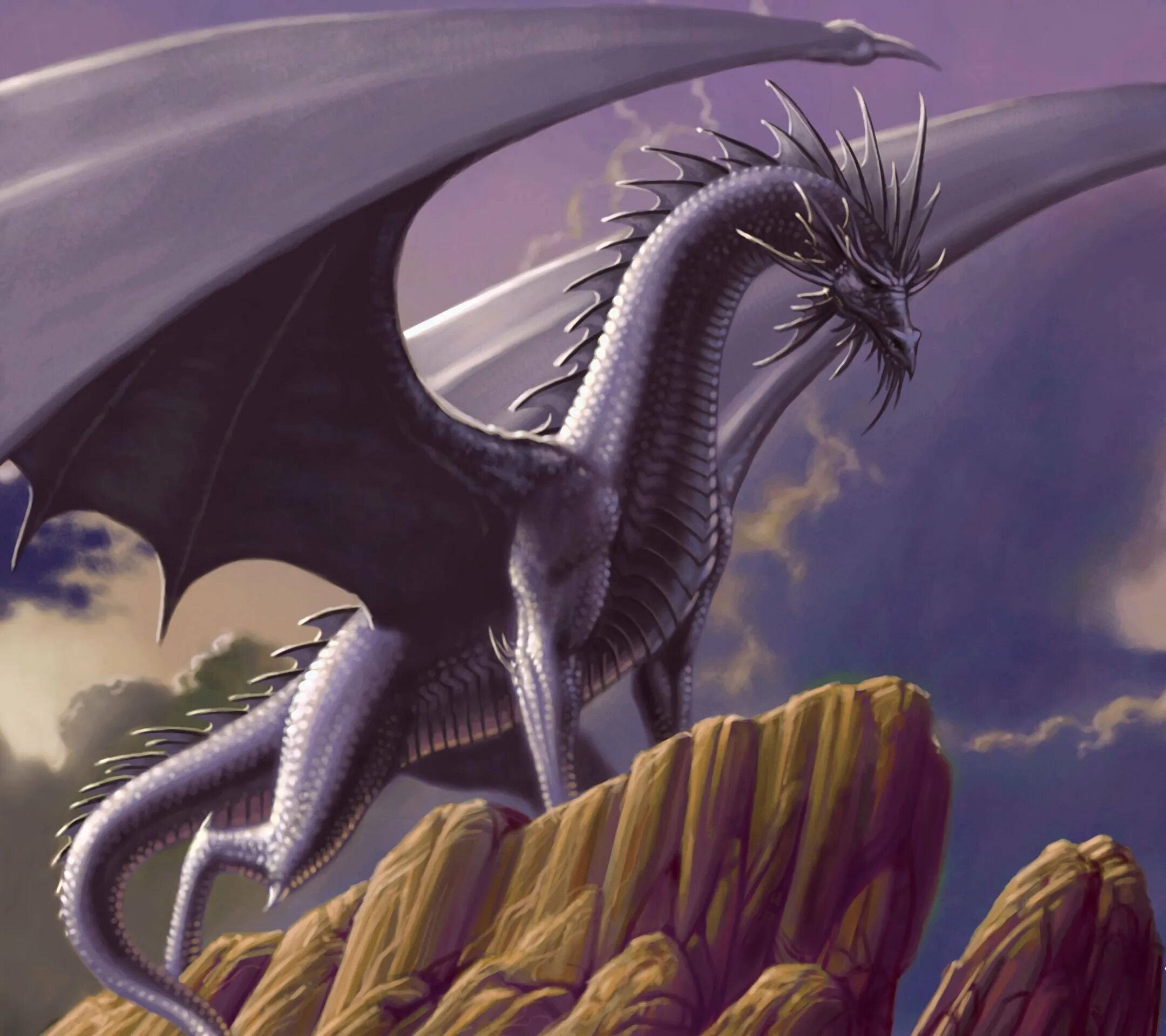 Серебряный дракон днд арт. Гебридский чёрный дракон. Вайт драгонс. Рут томпсон дракон. Стальной дракон.