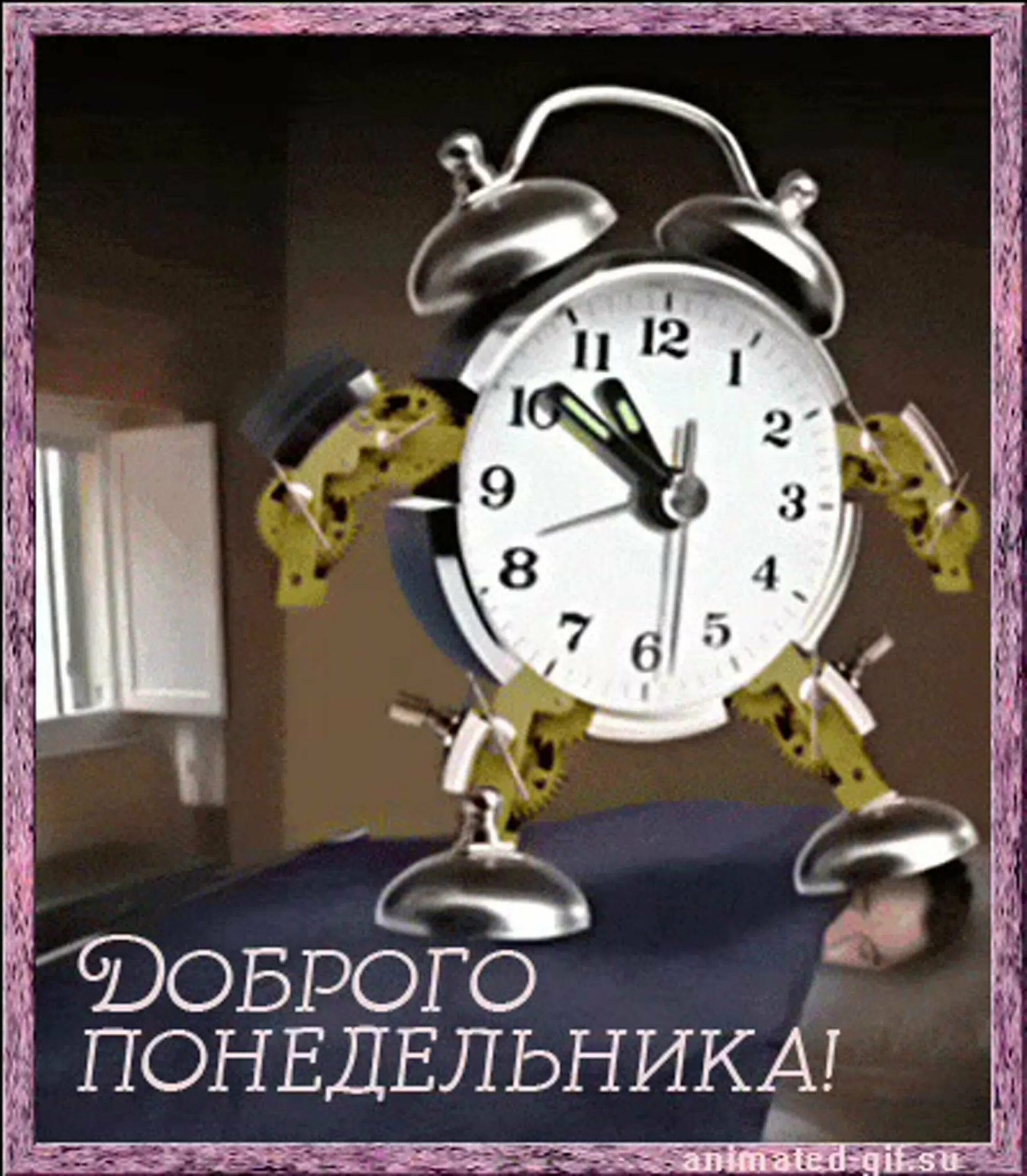 Утро понедельника гифки смешные. Доброго понедельника гиф. понедельник гиф. доброе утро понедельника гиф. доброе утро понедельника анимация.