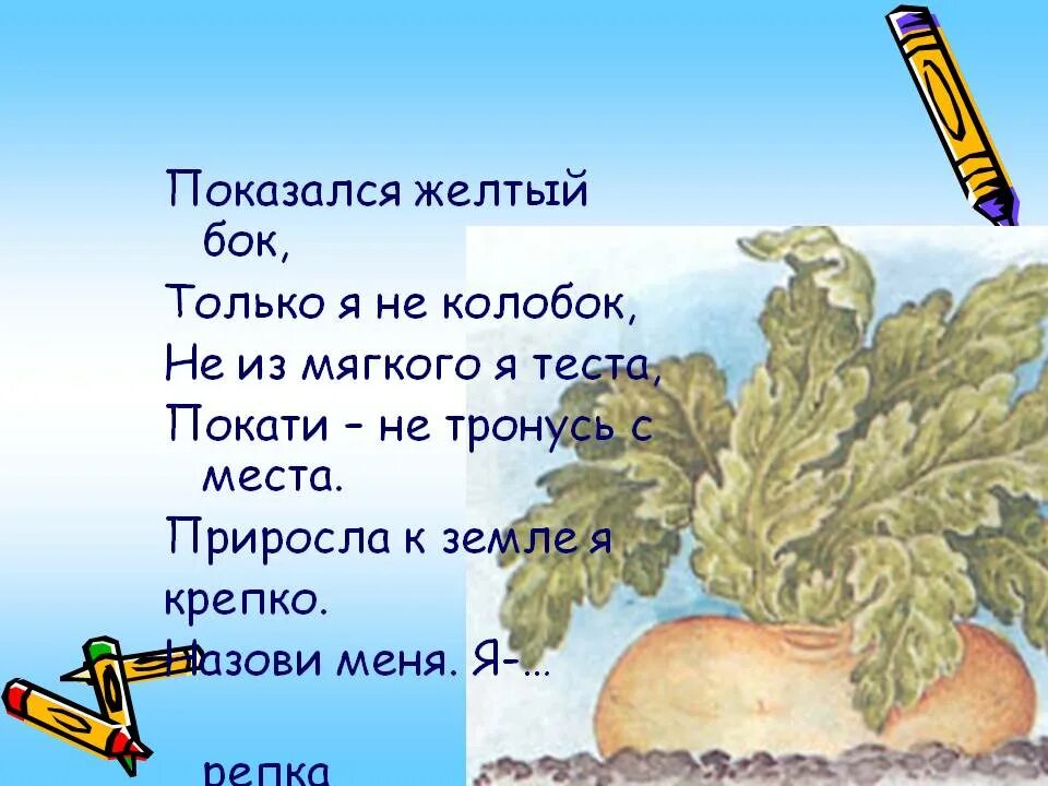 Загадка про репку. Загадка про репку для детей. Загадки про репу для детей. Загадка о сказке Репка для детей. Загадка про сказку репка