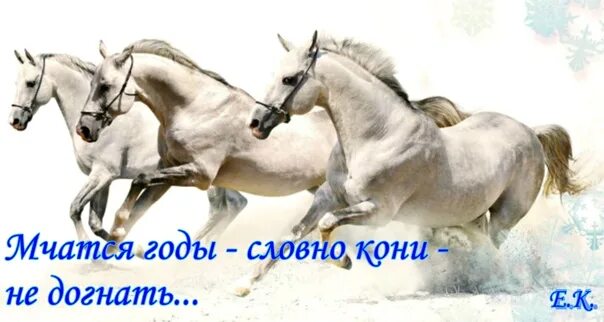 Тройка мчится. Картина тройка лошадей зимой. Мчатся и будут мчаться годы. Проходит год стих. Мчатся и будут мчаться годы.