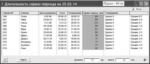 Сервис период