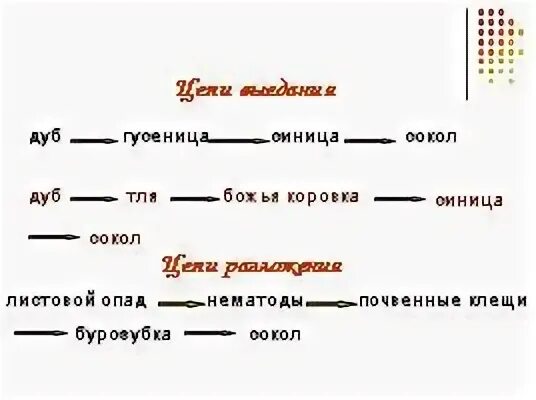 Цепь питания листовой опад еж лисица. Цепь разложения примеры. Цепь выедания и цепь разложения. Цепь выедания примеры. Пример цепи выедания и разложения.