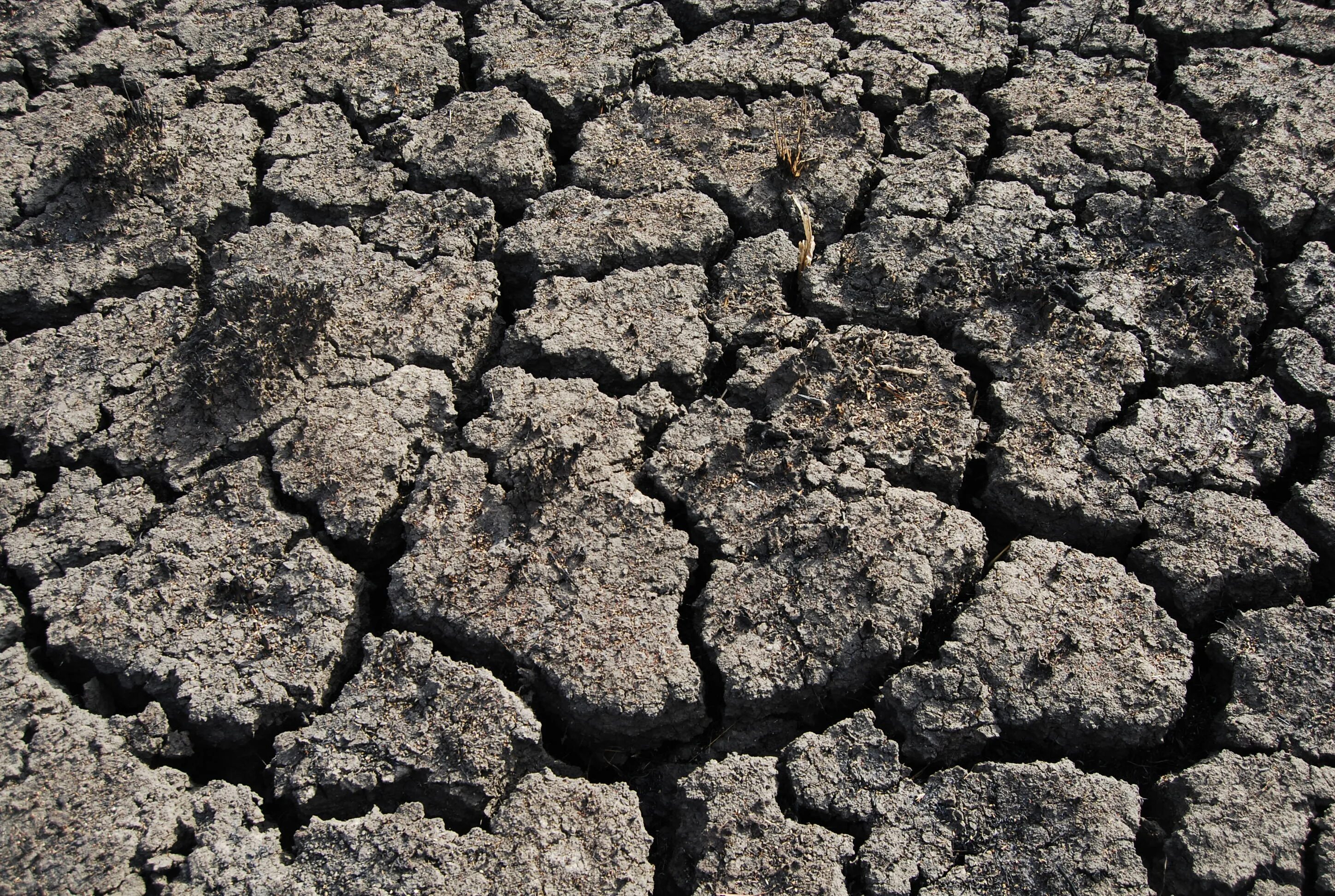 Принесенный водой грунт 5 букв. Desert soil. Принесенный водой грунт 5 букв. Пустынные почвы. Вода в почве.
