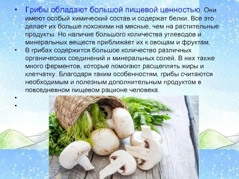 Польза мухомора. Характеристика белого гриба. Лекарственные грибы. Какими свойствами обладают грибы. Белый гриб полезные свойства.
