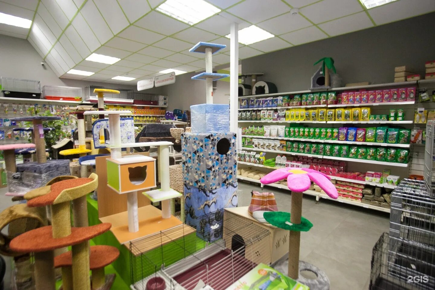 товары для животных санкт петербург. зоомагазин санкт-петербург. магазин животных. товары для животных в спб 2 муринский. зоомагазины рядом со мной спб.