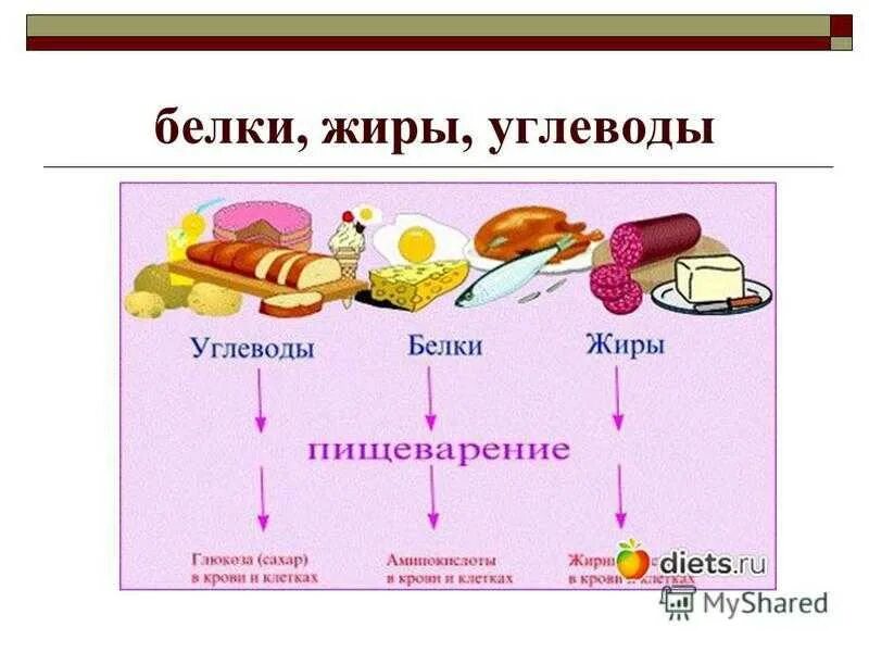 Последовательность пищи углеводы жиры белки. Белки жиры углеводы. Белок жиры и углеводы. Белки жиры углеводы в продуктах. Питание белки жиры углеводы.