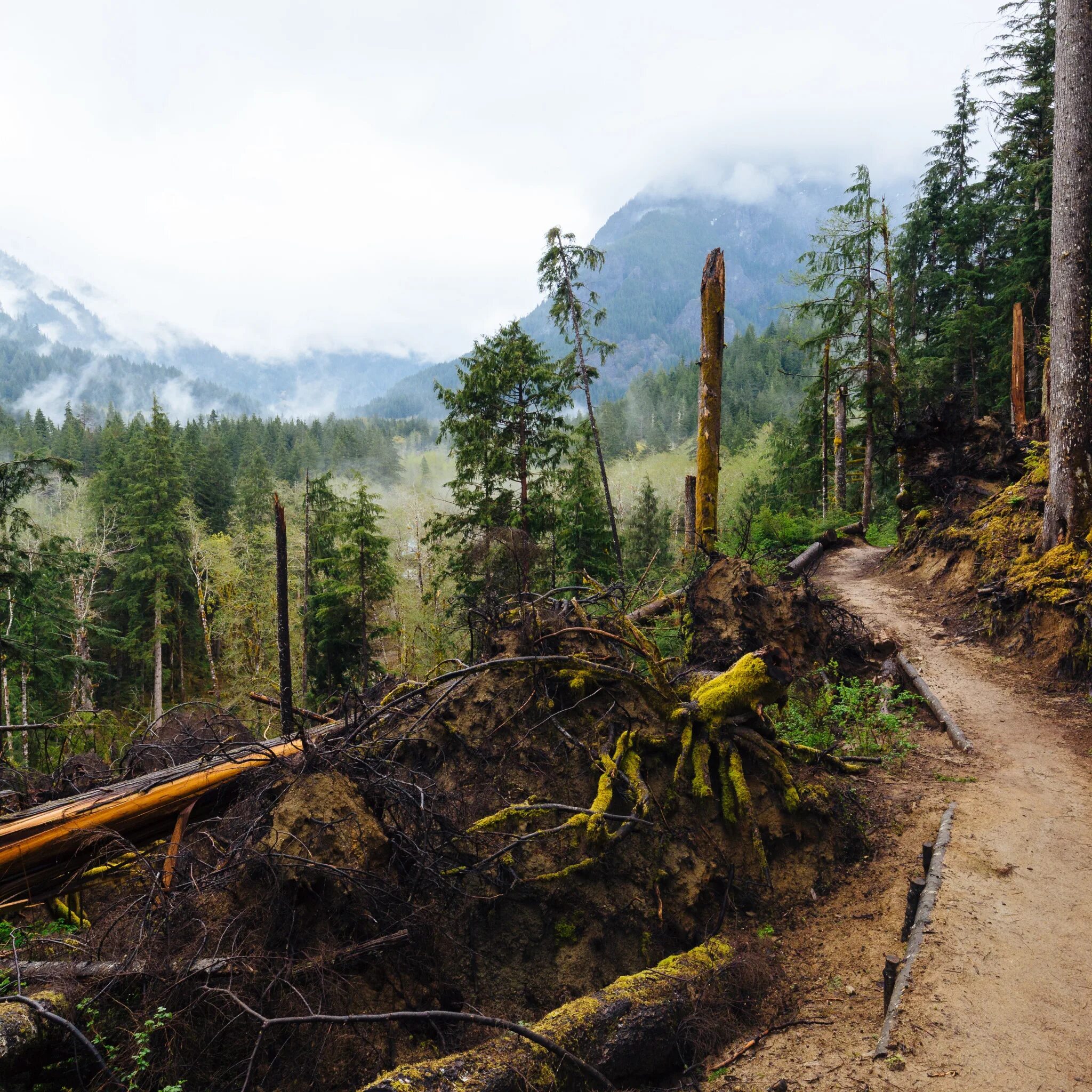 Альпийские луга австрии. По лесу и горам то. Лесная (лесистая) местность. По лесу и горам то. По лесу и горам то.