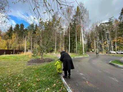Погода лисий нос