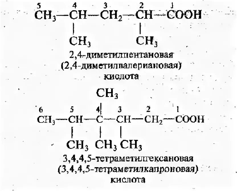 Формула 2 2 диметилпентановая кислота