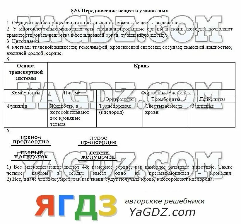 Передвижение веществ у животных таблица. Транспорт веществ у животных 6 класс. Транспорт веществ у животных 6 класс таблица. Передвижение веществ у животных по биологии 6 класс. Тест передвижение веществ у растений 6 класс