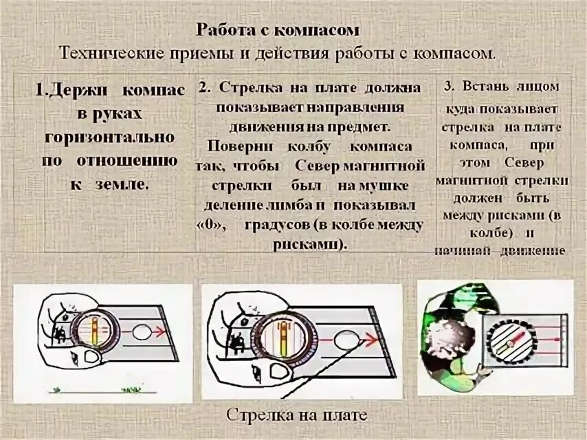 Строение компаса. Как пользоваться компасрв. Ориентирование на местности. Методика работы с компасом. Работы в компасе.