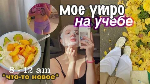 Влоги мое утро