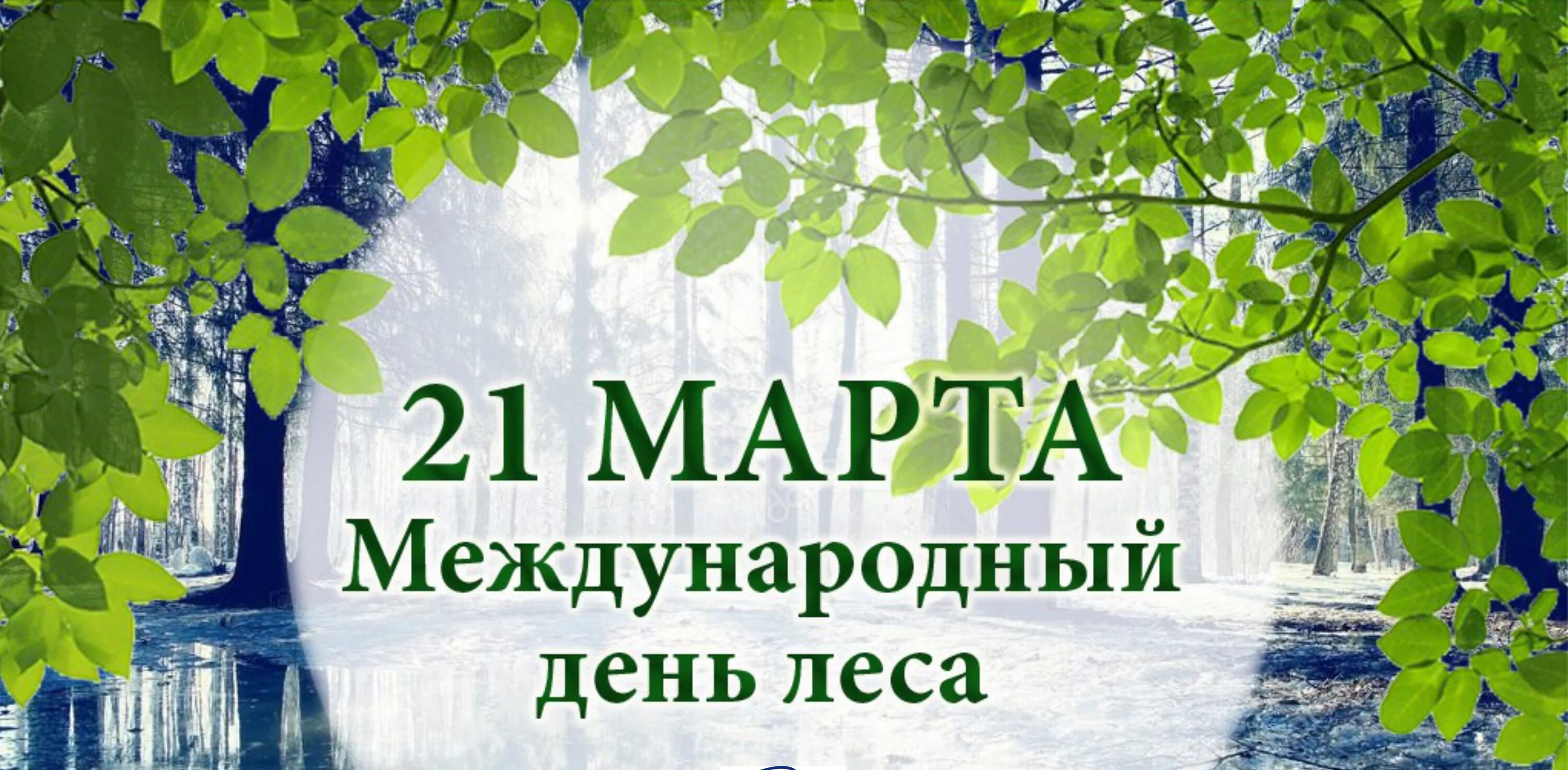 День леса в мире. День леса. Всемирный день лесов. Открытка Международный день лесов.