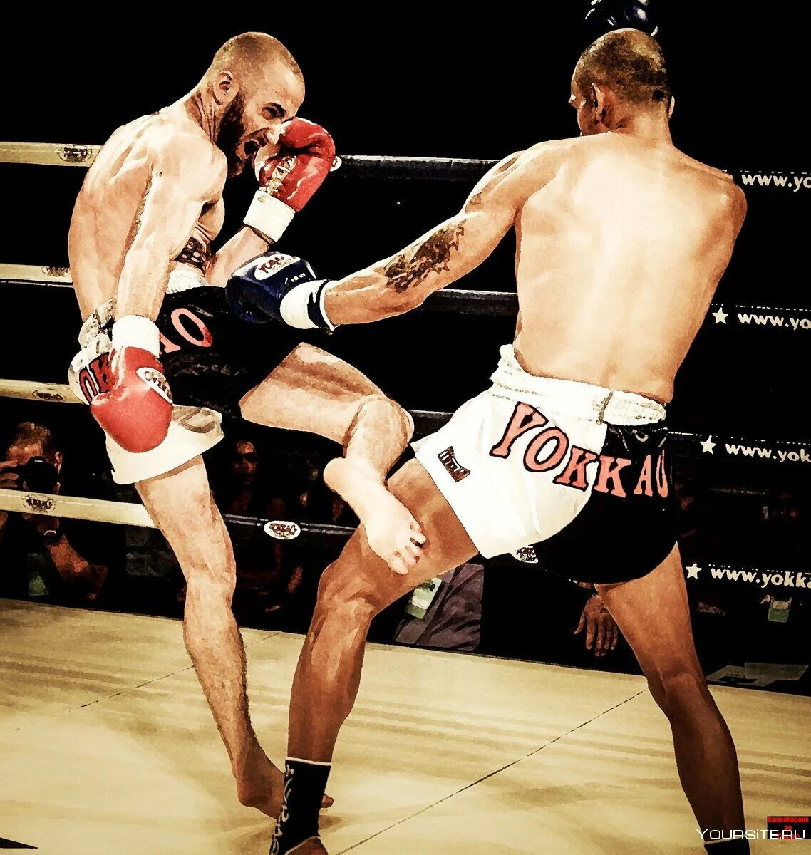 буакав лоу кик. лоу кик тайский бокс. мидл кик в тайском боксе. сайд кик удар в кикбоксинге техника. фронт кик техника удара.