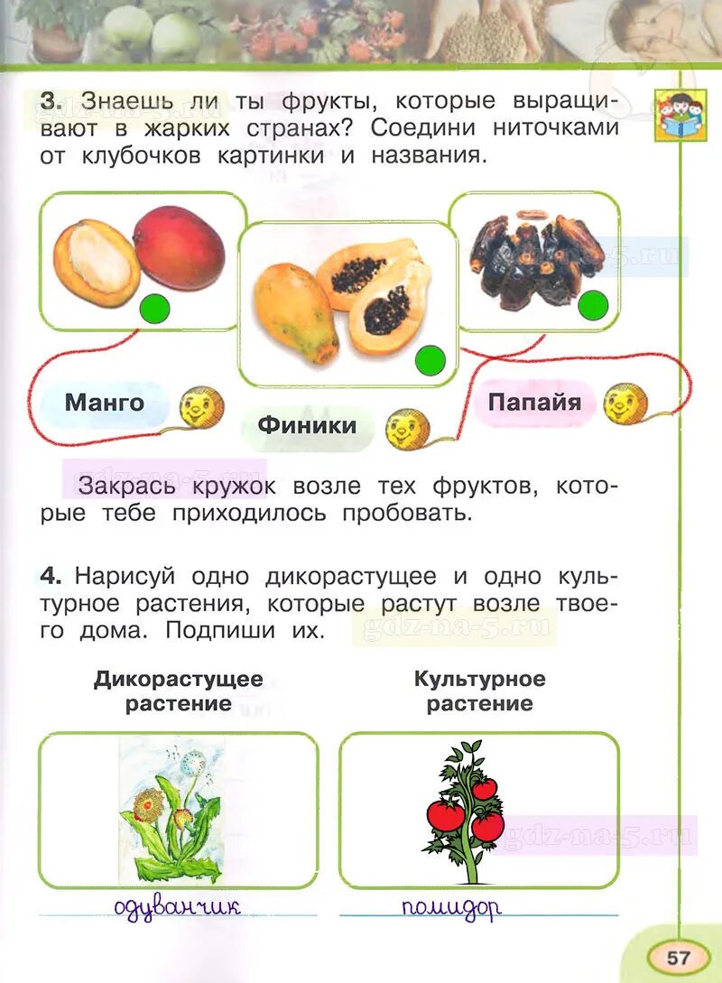 Окружающий мир тетрадь 4 класс стр 57