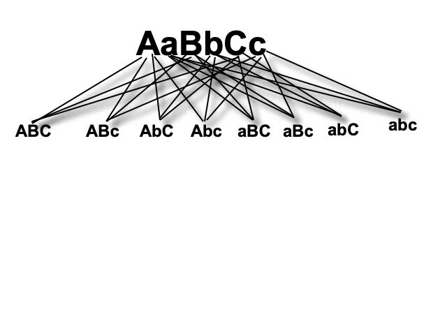 Генотип aabbcc. Aabbcc aabbcc. aabbcc. aabbcc х aabbcc.