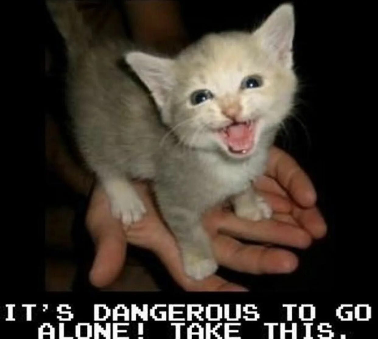 Dangerous to go Alone take this. Опасно идти одному возьми это. Its Dangerous to go Alone take this Мем. Котята на аву. These your cats