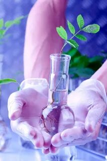 Chemical environment