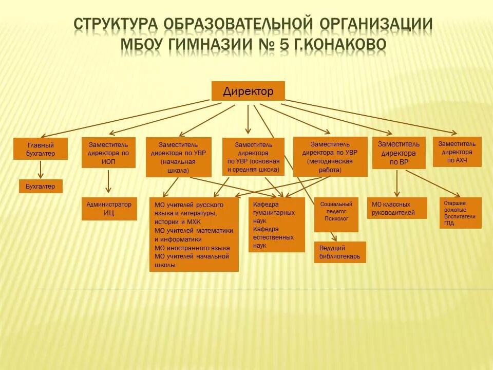 Органы управления образовательной организацией