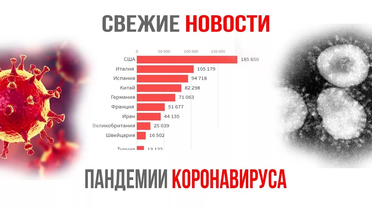 Россия вирус коронавирус. РБК коронавирус