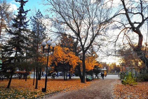 #ФотоКонкурс@library_ismu #НбИгму Волшебница осень не поскупилась на яркие краск