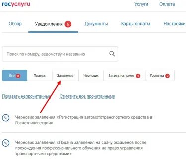 Заявление зарегистрировано в госуслугах что дальше