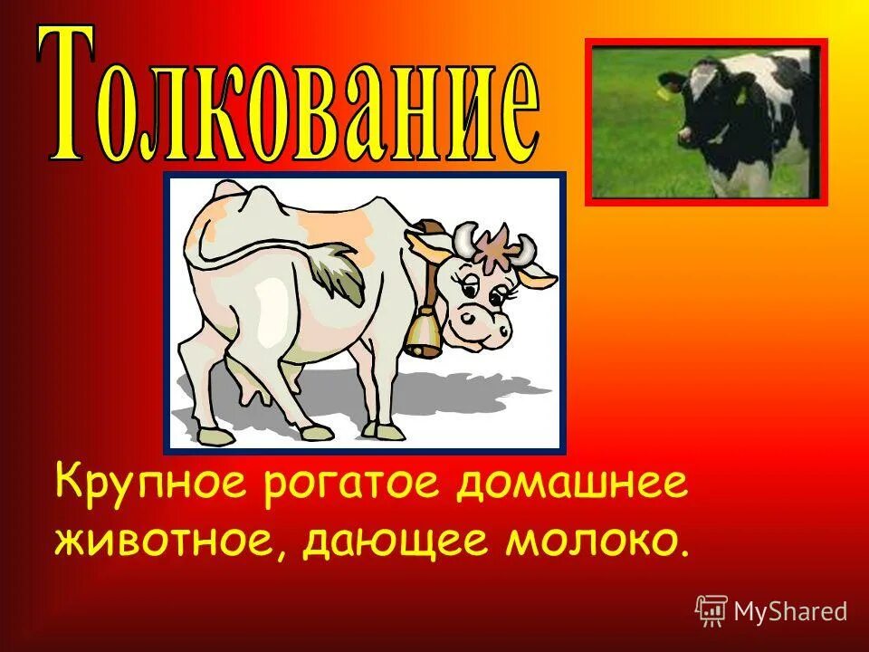 домашние животные которые дают молоко. кто дает молоко из животных. кто дает нам молоко. молоко животных. молоко от разных видов животных.
