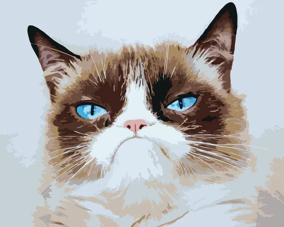 Угрюмый кот. Грампи кэт. сердитый кот grumpy cat. грэмми кэт. грампи кэт порода кота.