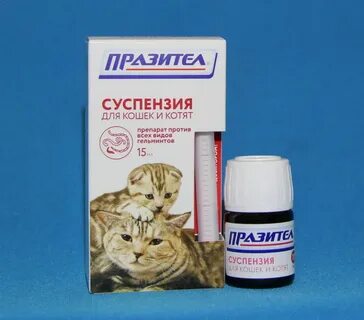 Чем лечить кота от глистов