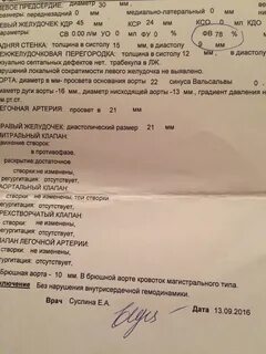 Узи сердца вологда