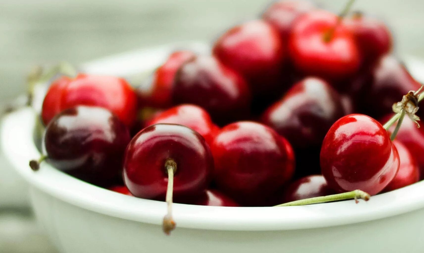 Поставь вишня. Поставь вишня. Вишня алтайская ласточка. Вишня с косточкой. Вишня любская.