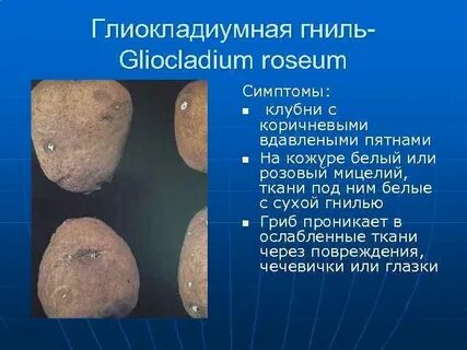 Методы учета болезней