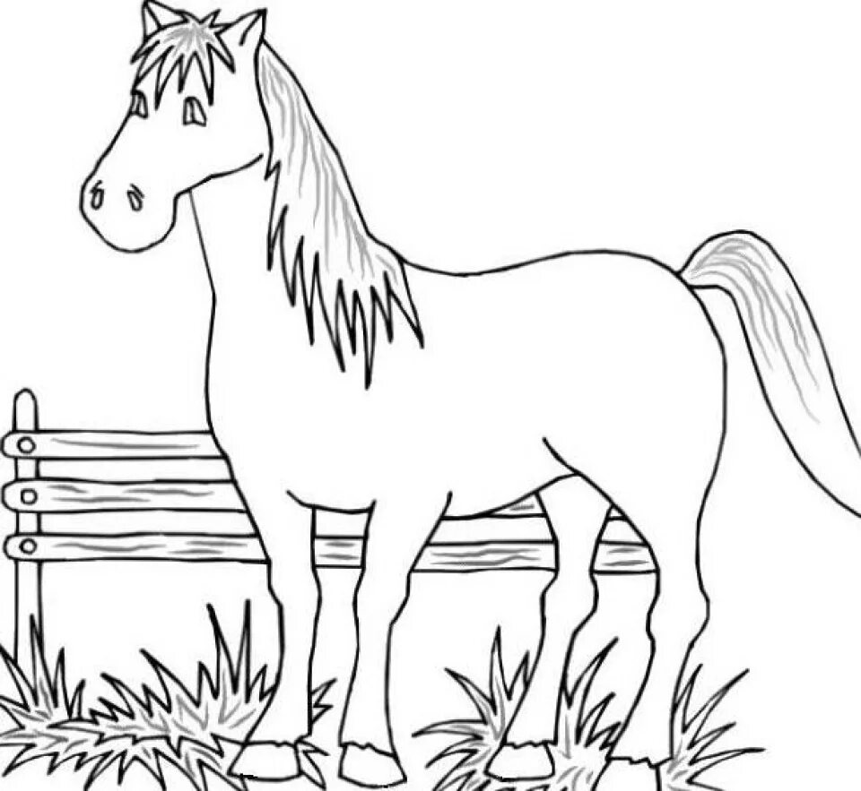 Лошадка для 6 лет. Раскраска. Лошадка. Раскраска домашние животные. Лошадь для раскрашивания. Лошадка раскраска для детей.