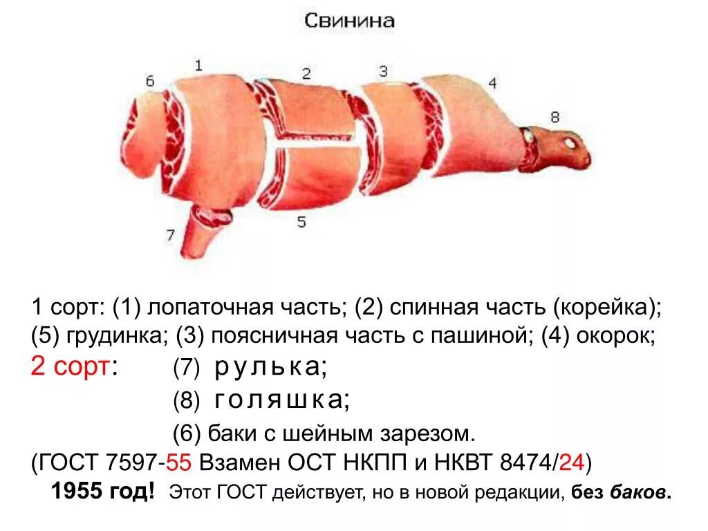 Карбонат какая часть свинины. Голяшка свиная схема разделки. Свинья разделка туши схема. Сорта частей туши свиньи.