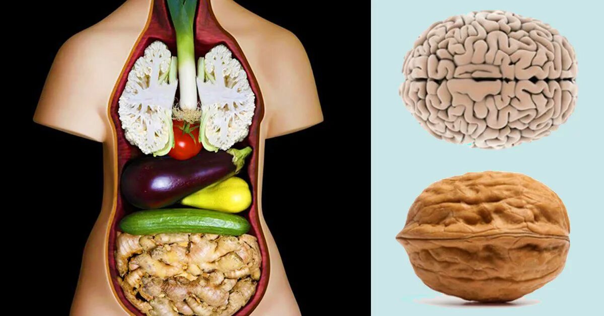 здоровое питание из овощей и фруктов. овощи и фрукты для органов. продукты полезные для органов на которые похожи. нутрициолог. пища подобно.
